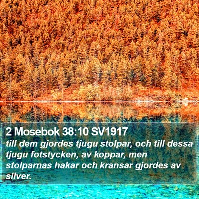 2 Mosebok 38:10 SV1917 Bible Verse Image
