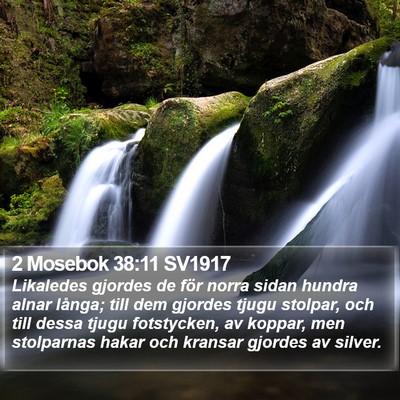 2 Mosebok 38:11 SV1917 Bible Verse Image