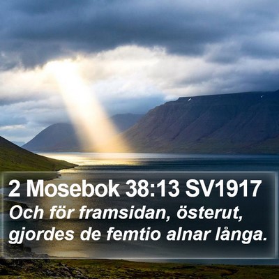 2 Mosebok 38:13 SV1917 Bible Verse Image