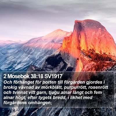 2 Mosebok 38:18 SV1917 Bible Verse Image