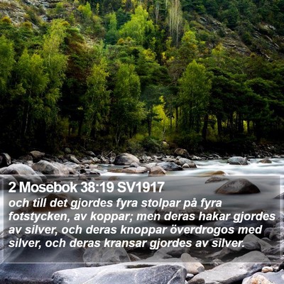 2 Mosebok 38:19 SV1917 Bible Verse Image