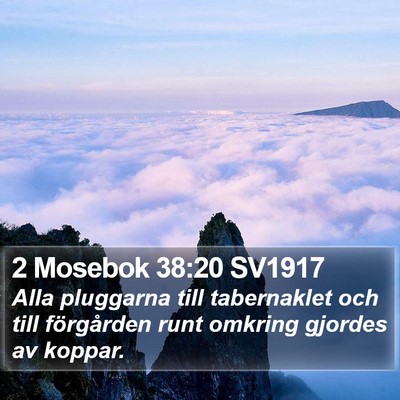 2 Mosebok 38:20 SV1917 Bible Verse Image