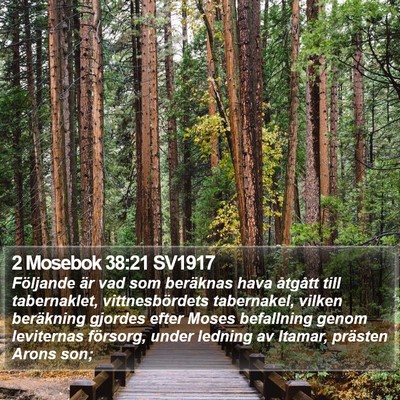 2 Mosebok 38:21 SV1917 Bible Verse Image