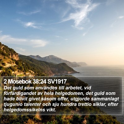 2 Mosebok 38:24 SV1917 Bible Verse Image