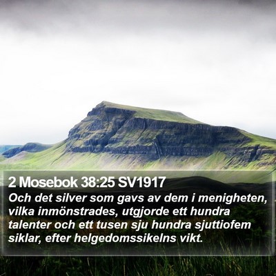 2 Mosebok 38:25 SV1917 Bible Verse Image