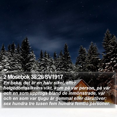 2 Mosebok 38:26 SV1917 Bible Verse Image