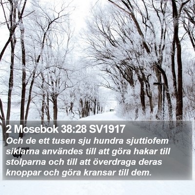 2 Mosebok 38:28 SV1917 Bible Verse Image