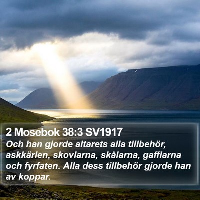 2 Mosebok 38:3 SV1917 Bible Verse Image
