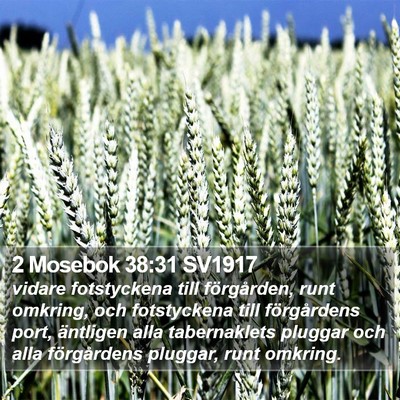 2 Mosebok 38:31 SV1917 Bible Verse Image