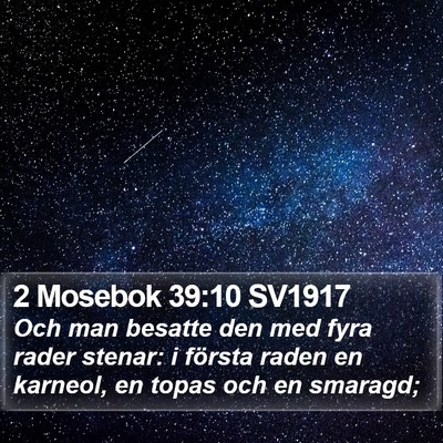 2 Mosebok 39:10 SV1917 Bible Verse Image