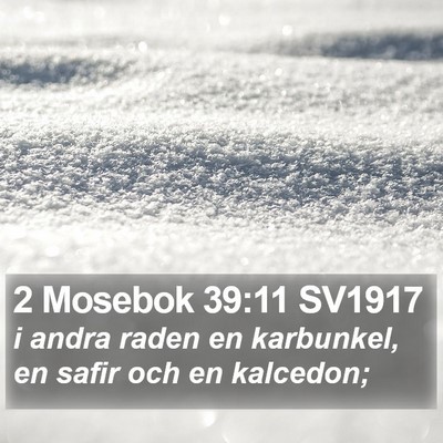2 Mosebok 39:11 SV1917 Bible Verse Image