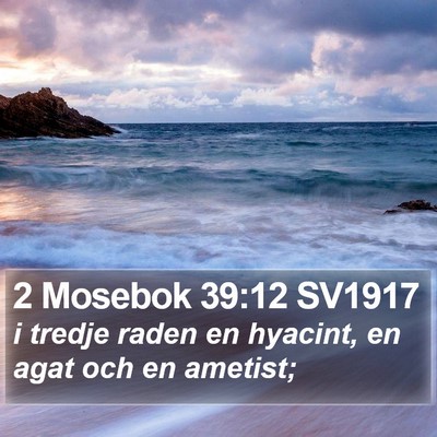 2 Mosebok 39:12 SV1917 Bible Verse Image