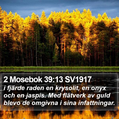 2 Mosebok 39:13 SV1917 Bible Verse Image