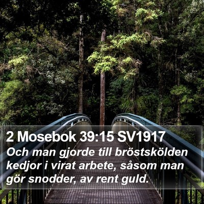 2 Mosebok 39:15 SV1917 Bible Verse Image