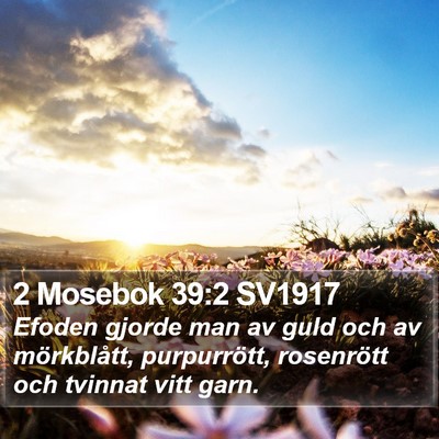 2 Mosebok 39:2 SV1917 Bible Verse Image