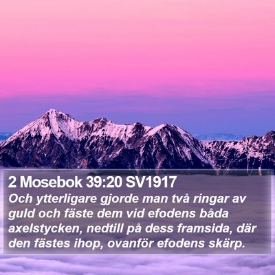 2 Mosebok 39:20 SV1917 Bible Verse Image
