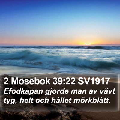 2 Mosebok 39:22 SV1917 Bible Verse Image