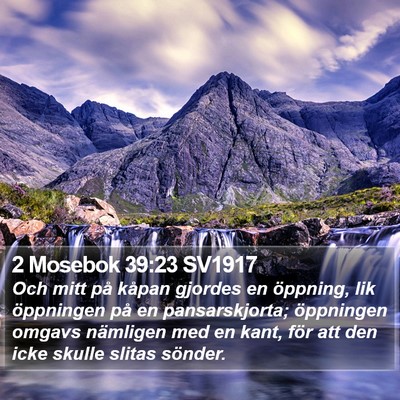 2 Mosebok 39:23 SV1917 Bible Verse Image