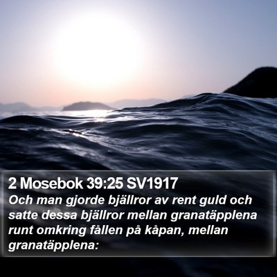 2 Mosebok 39:25 SV1917 Bible Verse Image