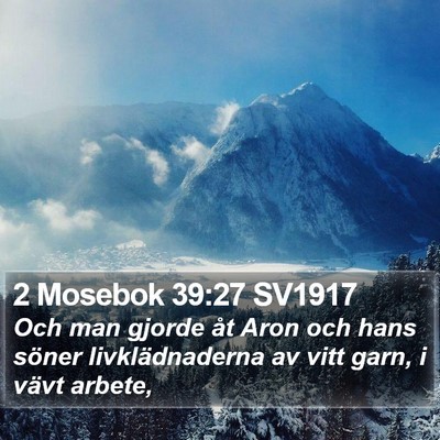 2 Mosebok 39:27 SV1917 Bible Verse Image