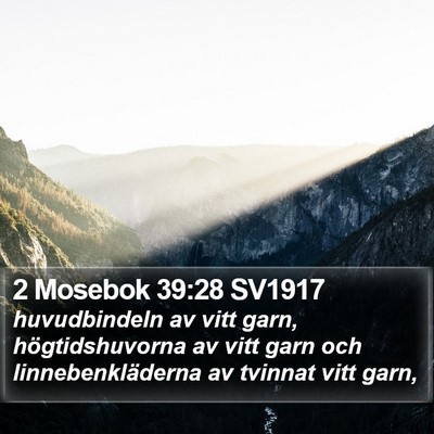 2 Mosebok 39:28 SV1917 Bible Verse Image