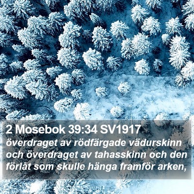 2 Mosebok 39:34 SV1917 Bible Verse Image
