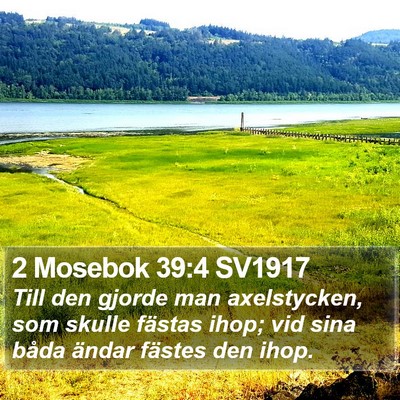 2 Mosebok 39:4 SV1917 Bible Verse Image