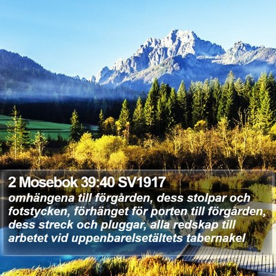 2 Mosebok 39:40 SV1917 Bible Verse Image