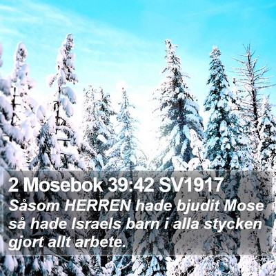 2 Mosebok 39:42 SV1917 Bible Verse Image
