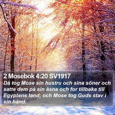 2 Mosebok 4:20 SV1917 Bible Verse Image