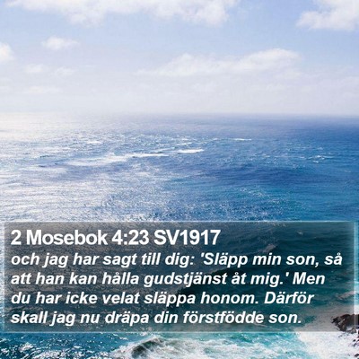 2 Mosebok 4:23 SV1917 Bible Verse Image
