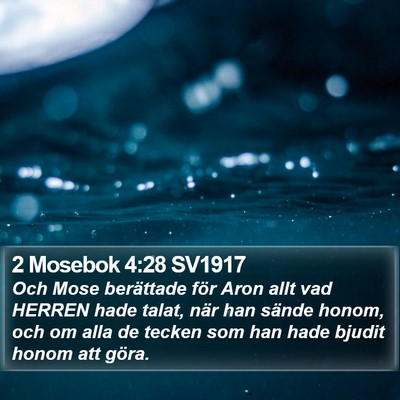 2 Mosebok 4:28 SV1917 Bible Verse Image