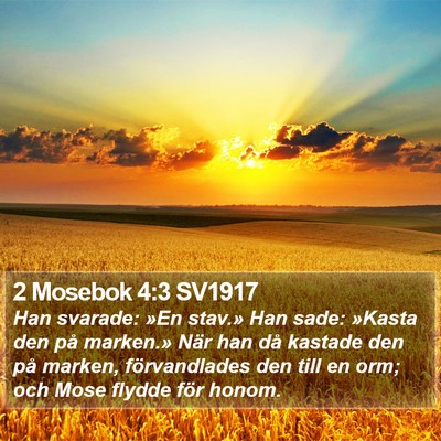 2 Mosebok 4:3 SV1917 Bible Verse Image