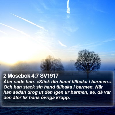 2 Mosebok 4:7 SV1917 Bible Verse Image