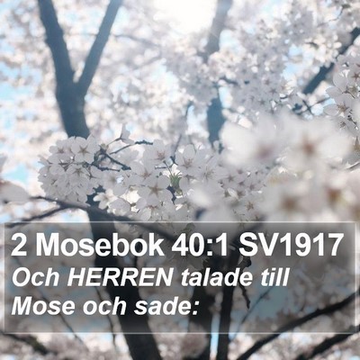 2 Mosebok 40:1 SV1917 Bible Verse Image