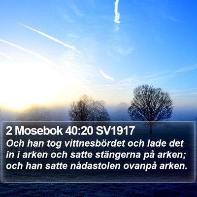 2 Mosebok 40:20 SV1917 Bible Verse Image