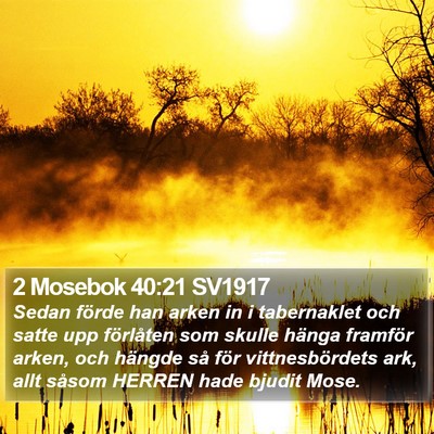 2 Mosebok 40:21 SV1917 Bible Verse Image