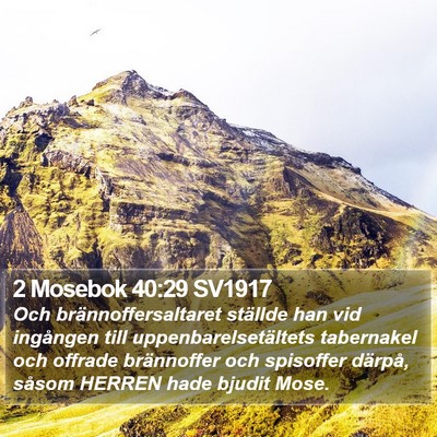 2 Mosebok 40:29 SV1917 Bible Verse Image