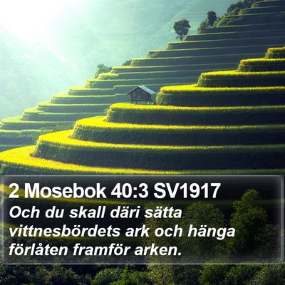 2 Mosebok 40:3 SV1917 Bible Verse Image