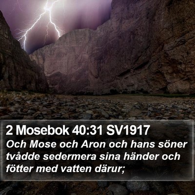 2 Mosebok 40:31 SV1917 Bible Verse Image