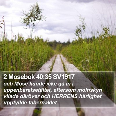 2 Mosebok 40:35 SV1917 Bible Verse Image