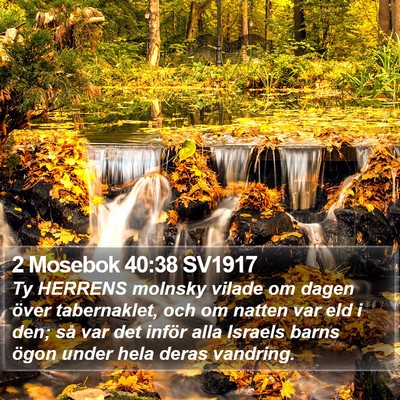 2 Mosebok 40:38 SV1917 Bible Verse Image