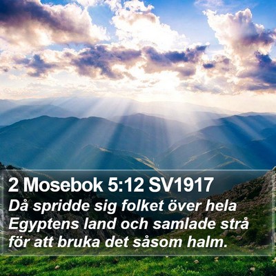 2 Mosebok 5:12 SV1917 Bible Verse Image