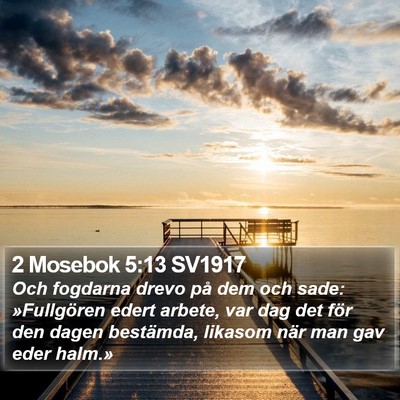 2 Mosebok 5:13 SV1917 Bible Verse Image