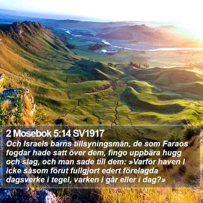 2 Mosebok 5:14 SV1917 Bible Verse Image