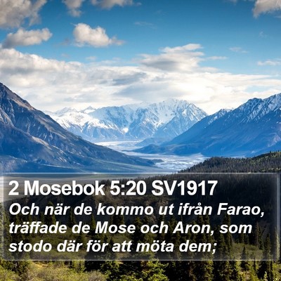 2 Mosebok 5:20 SV1917 Bible Verse Image