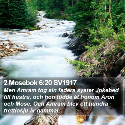 2 Mosebok 6:20 SV1917 Bible Verse Image