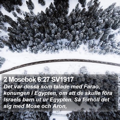 2 Mosebok 6:27 SV1917 Bible Verse Image