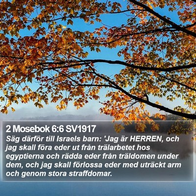 2 Mosebok 6:6 SV1917 Bible Verse Image