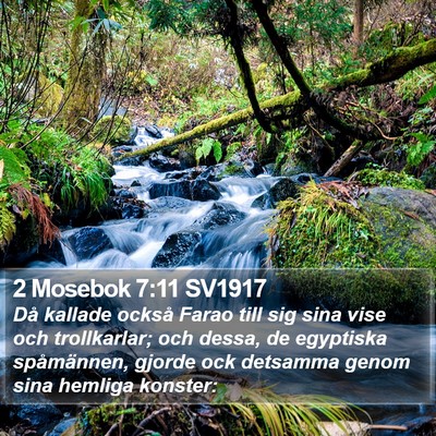2 Mosebok 7:11 SV1917 Bible Verse Image